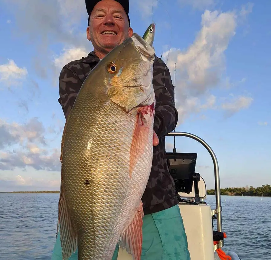 lower keys snapper