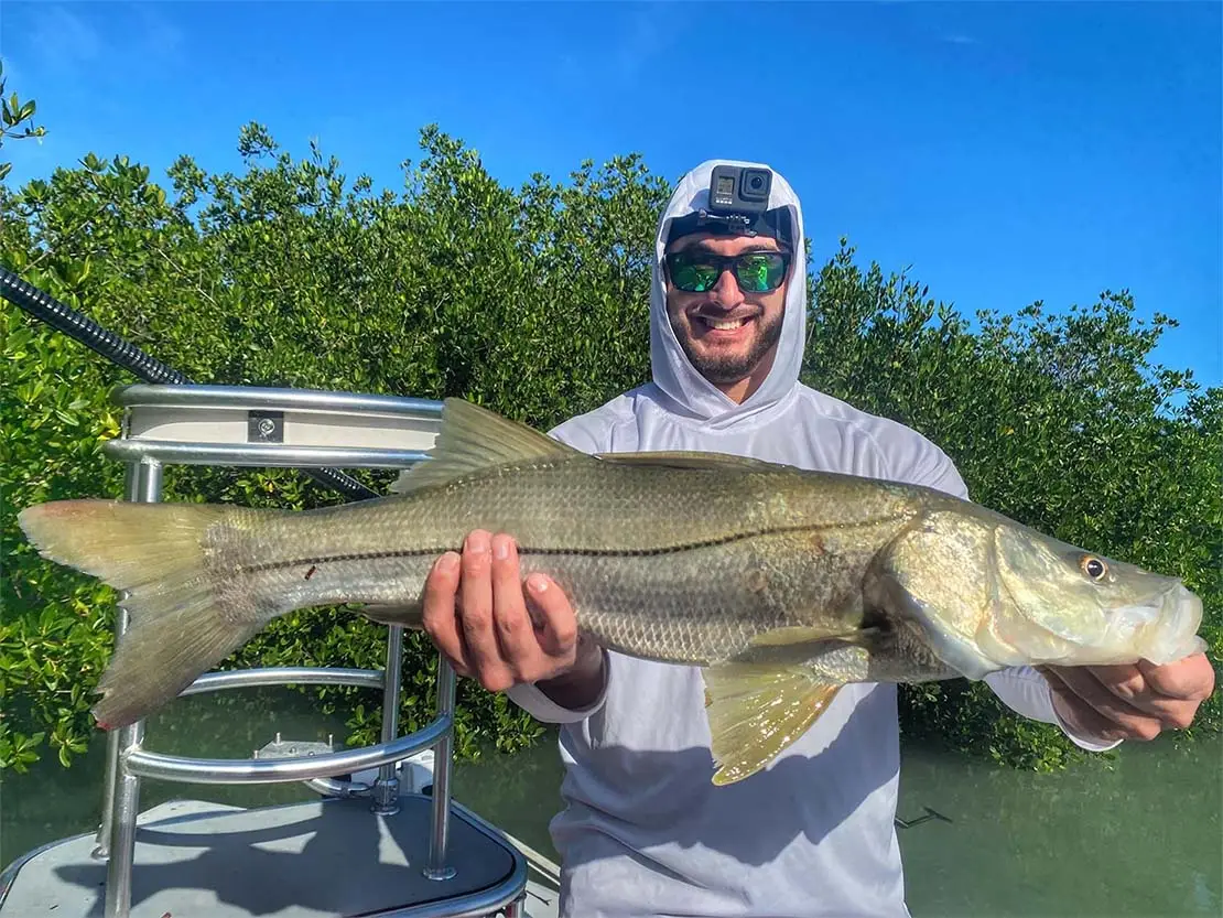 lower keys snook