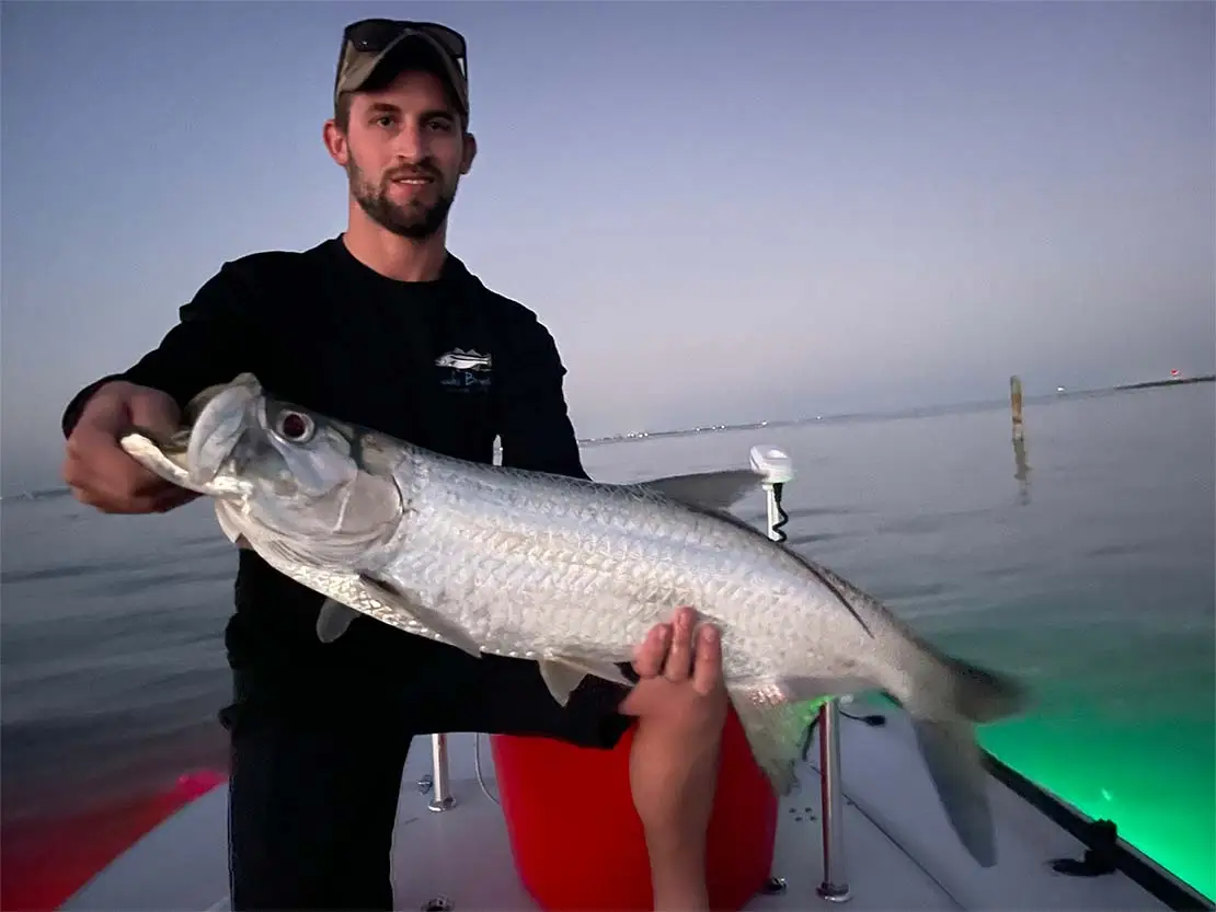 lower keys tarpon