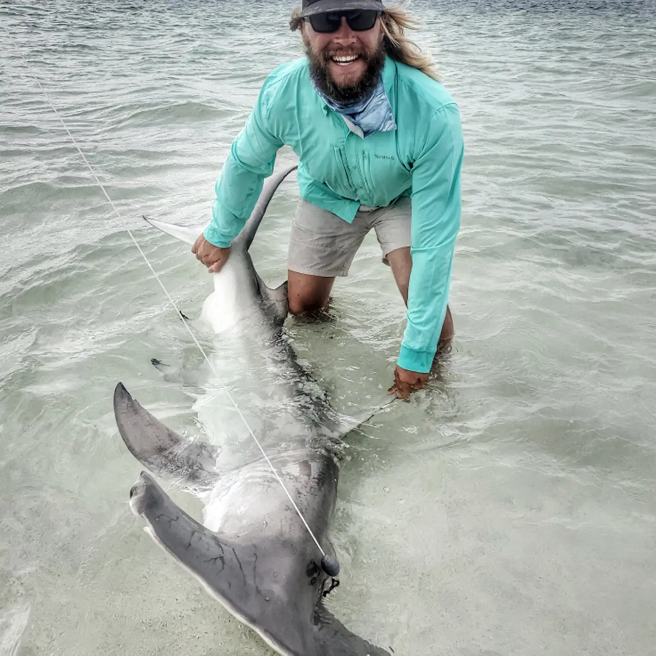 hammerhead shark caught near cudjoe key